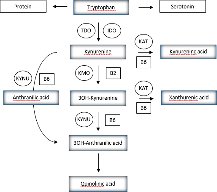 Fig 1