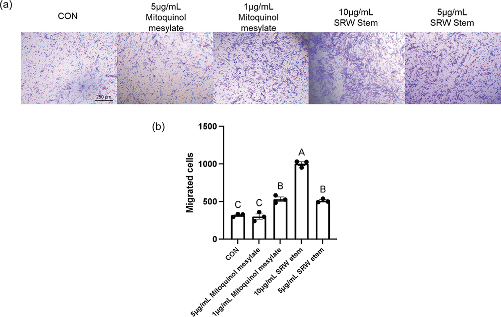 Fig 4