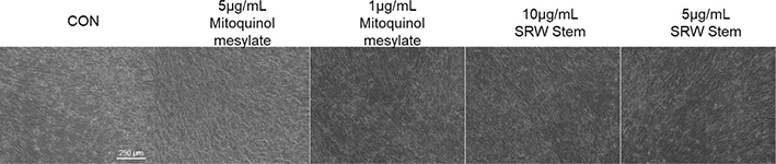 Fig 5