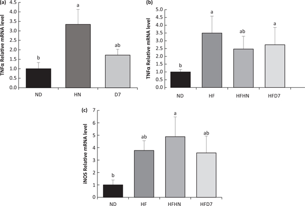 Fig 10