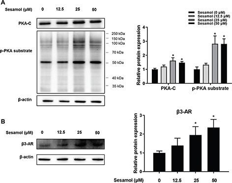 Fig 8