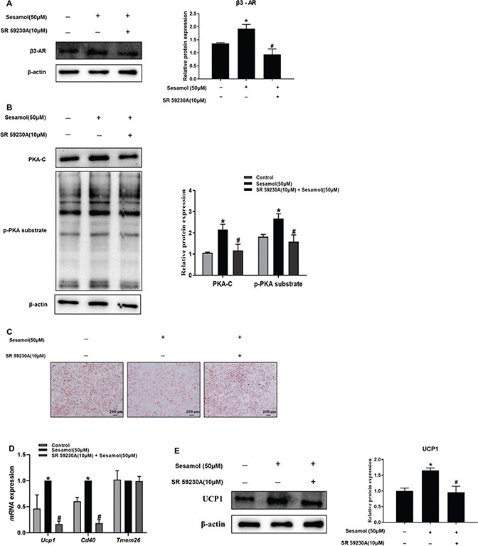 Fig 9