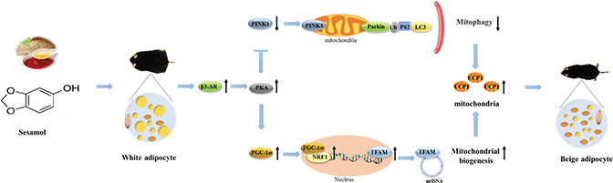 Fig 10