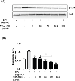 Fig 8