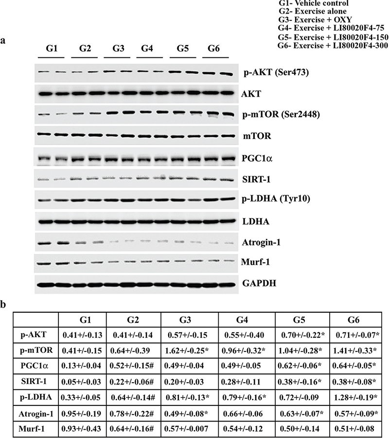 Fig 5